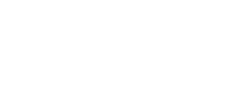 Bigleaf Logo - white-1