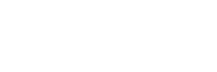 Bigleaf Logo_White_250